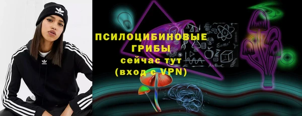 дмт Абаза