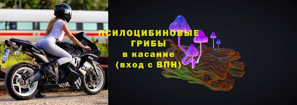 крисы Алексеевка