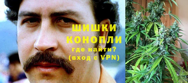 дмт Абаза