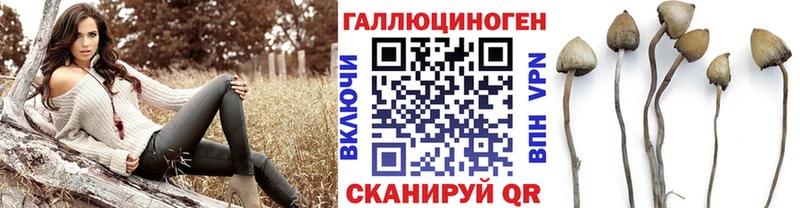 Псилоцибиновые грибы Magic Shrooms  купить наркотики сайты  Кингисепп 