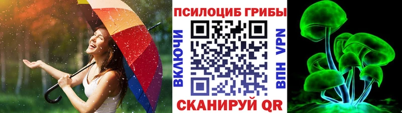 Галлюциногенные грибы ЛСД Кингисепп
